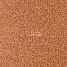 Ковролин Radici Forum Ambra 2102 фото 1 | FLOORDEALER